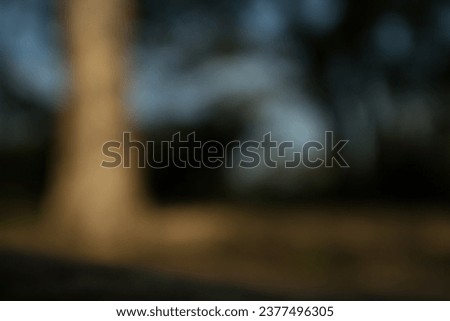 Nature pictures, blurry pictures, background pictures