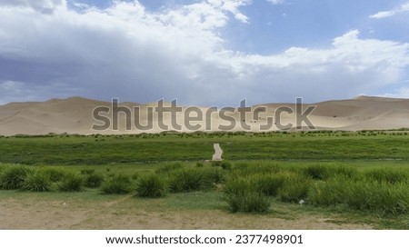 Panoramic view of grass and wood bridge on wetland against grassland sand dunes at Khongoliin els, Gobi Desert, Mongolia
 Royalty-Free Stock Photo #2377498901