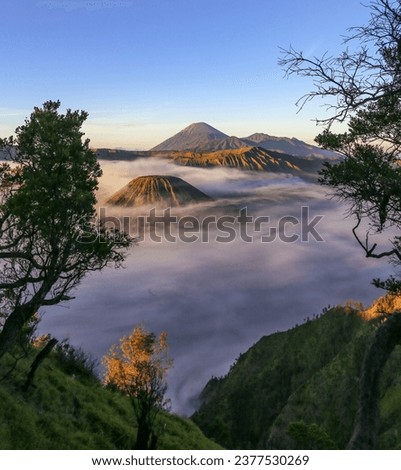 the beauty of the Bromo volcano in the morning