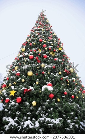Huge Christmas tree with bright decoration in a city square