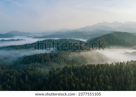 Aerial view of foggy forest and mountains in early morning. Royalty-Free Stock Photo #2377551105
