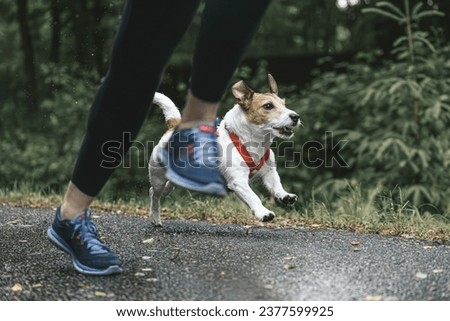 Woman jogging after rain with her dog at park path Royalty-Free Stock Photo #2377599925