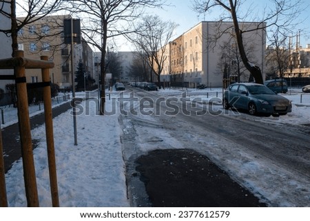 snowy street with trees in winter