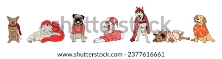 Set of many dogs in Christmas clothes on white background