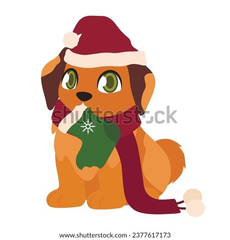 Cute puppy with Christmas sock on white background