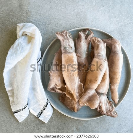 Frozen squid on a plate, product picture of sea food frozen, top view, minimal grey background