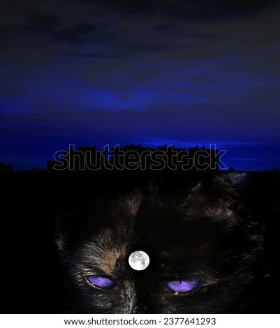 A cat with blue eyes against the backdrop of a night city in the light of the moon. Cover for a book.