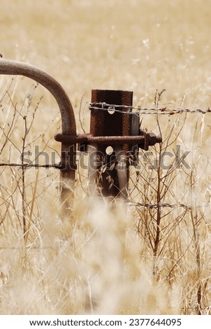 Rusted old gates and fence wires in the wheat fields on a farm in the Western Cape. 