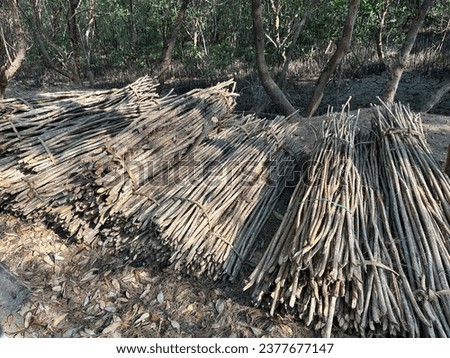 A pile of logs is arranged neatly and placed on the ground. Illustration of wood as an alternative fuel.