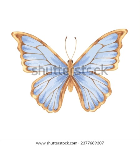 Butterfly Vector illustration. Hand drawn graphic clip art on white isolated background. Watercolor drawing of insect with blue and gold wings. Flying moth sketch for wall stickers and decorations