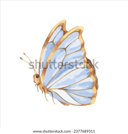 Butterfly Vector illustration. Hand drawn graphic clip art on white isolated background. Watercolor drawing of insect with blue and gold wings. Flying moth sketch for greeting cards and prints