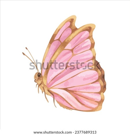 Butterfly Vector illustration. Hand drawn graphic clip art on white isolated background. Watercolor drawing of insect with pink and gold wings. Flying moth sketch for stickers and cards