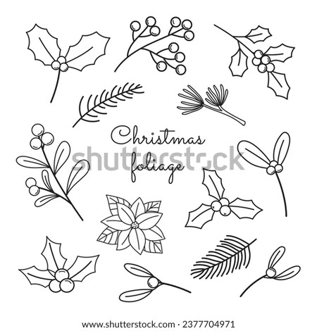 Christmas foliage, holly, poinsettia, mistletoe, and fir. Winter plants. Xmas florals. Nature botanical elements. Coloring page. Outline flat vector illustration