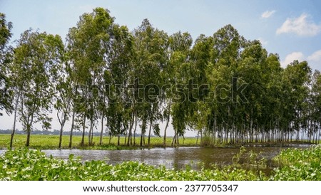 Landscape view of flooded rural area of Bangladesh.