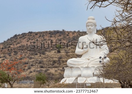 Buddha statue at the Belum caves