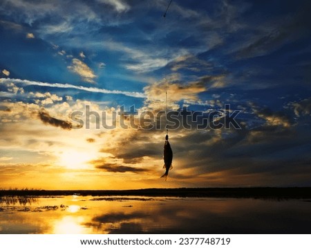 Fishing at sunset. Catching predatory fish on spinning. Sunset colors on the water surface, sunny path from the low sun. Perch caught on yellow spoonbait Royalty-Free Stock Photo #2377748719