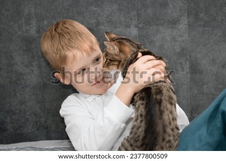 Little boy is playing with a kitten. Boy in white longsleeve holds a cat. High quality photo