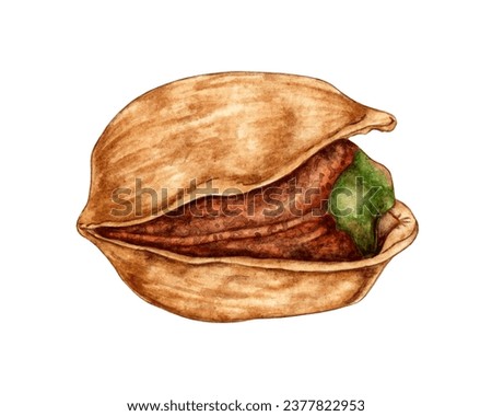 Watercolor illustration of ripe pistachio nut. Healthy food, picnic snacks, festival, Oktoberfest. Isolated on a white background. Ideal food concept, packaging design, cafe, restaurant, menu.