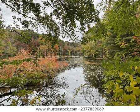 Ross Coastal Plain Marsh Preserve - Covert, Michigan - October 2023 Royalty-Free Stock Photo #2377839069