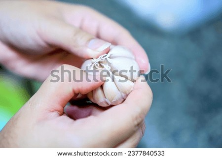 a woman's hands holding a shell with a string.