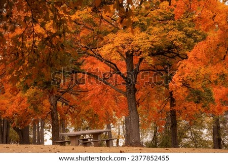 Autumn colors near a picnic area at Griggs Reservoir in Upper Arlington Ohio.  Royalty-Free Stock Photo #2377852455