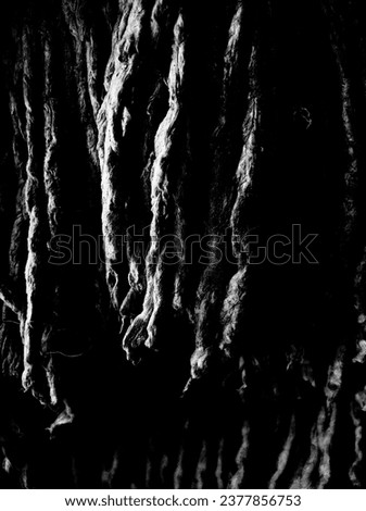 strands of rope hanging down