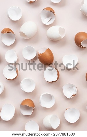 Springtime easter layout. Empty broken chicken eggshells.