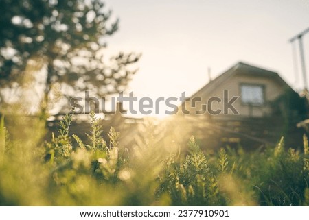 A large wooden lonely house through the green grass on the background of a summer evening landscape. Country life and unity with nature. High quality photo Royalty-Free Stock Photo #2377910901
