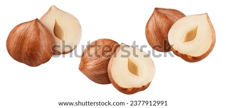Hazelnut isolated on white background, collection Royalty-Free Stock Photo #2377912991