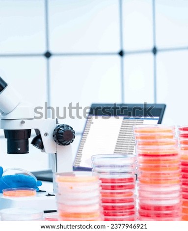 Genetic mapping and linkage analysis: Petri dishes can be used in genetic mapping and linkage analysis studies By analyzing the inheritance patterns of specific genetic markers or traits wit Royalty-Free Stock Photo #2377946921