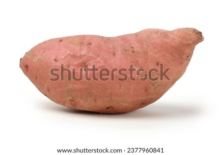  Raw sweet potatoes stock photo