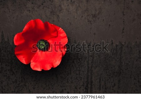 Poppy flower on rusty iron background with place for your text. Decorative flower for Remembrance Day. Memorial Day. Veterans day. Royalty-Free Stock Photo #2377961463