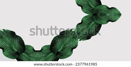 A combination of large Hosta plant leaf fragments on a monochrome background. Color variation. Minimal composition. Exclusive wallpaper. Copy space