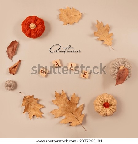 Flat lay square composition for seasonal autumn Thanksgiving sale with knitted pumpkins and dry leaves and inscription Autumn Sale on beige background. Top view