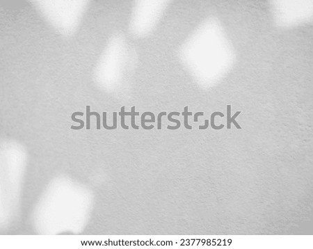 Shadow Leaf Leaves Tree Summer Tropic Background Overlay Plant White Light Nature Branch Foliage Wall Floor Effect Sun from Window Home Sunlight Minimal Mockup Scene Template Shade Backdrop Empty.
