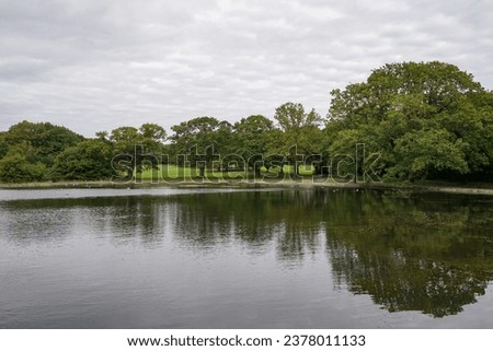 view over duck lake in the common park Southampton. parkland tree reflection in water. Scenic green spaces  Royalty-Free Stock Photo #2378011133