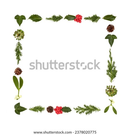 Christmas winter greenery flora and holly berry abstract background border on white. Minimal frame design element for greeting card, gift tag, label, menu, invitation.