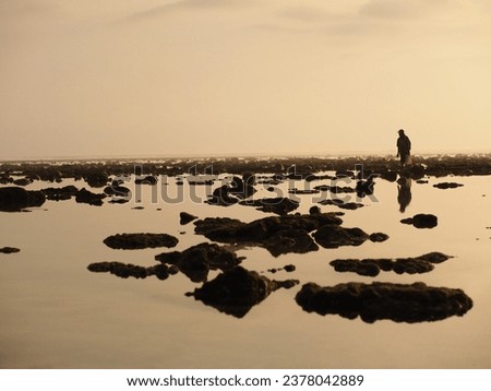 A Man Searching For A Fish