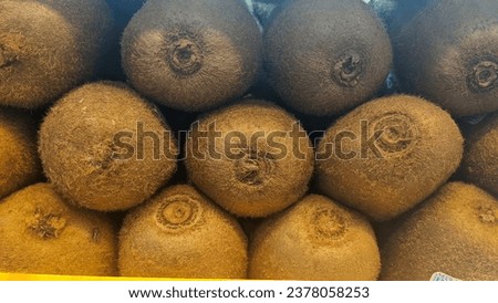 Creative layout background made of closeup picture of kiwi fruit