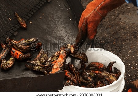 Freshly roasted Hatch chiles being removed from the roaster to a bucket for sale to a customer in New Mexico. Royalty-Free Stock Photo #2378088031