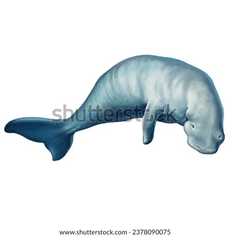 Dugong clipart page for kids. Vector illustration for children. Vector illustration of Dugong on isolated white background.