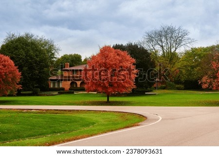 Red Maple leafs. Red trees. Autumn leaves. Nature. Landscape. Suburbs. Fall. Orange colorful falling leaves. Crip fall. Calm photo. beautiful background. 