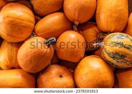beautiful orange pumpkin background texture