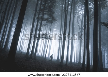 Foggy afternoon in the spring forest. Silhouette of woman standing in the middle of photo, Luzicke hory