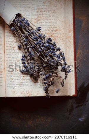 This photo is a dark and Moody picture! This photo is an artist style. With its old book and lavender it gives and vintage, modern, and cozy vibe! 