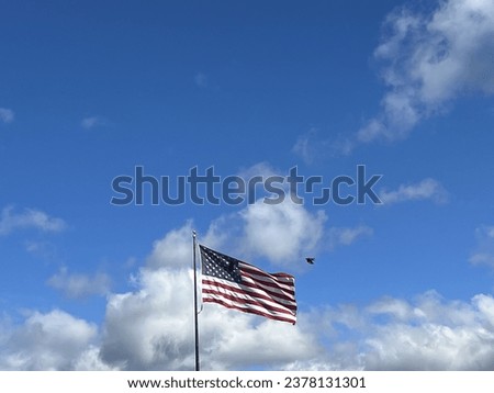 The photos are of the USA flag. Several of the photos include birds flying by in the sky. The pictures were taken on 10212023 in Bel Air, MD. Note - Unsure why the work "flag" cannot be keyword.
