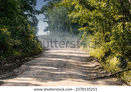 Dirt road in the forest