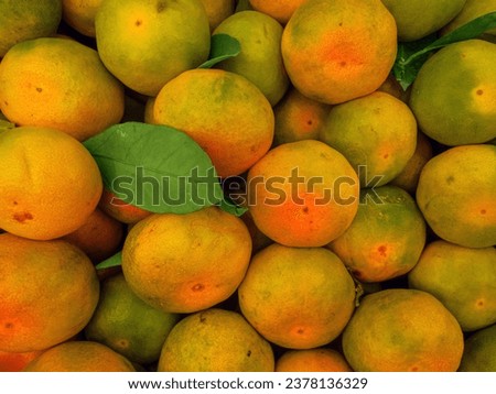 Top view of tangerines being sold on the counter. Leaf detail is an appetizing photo.
