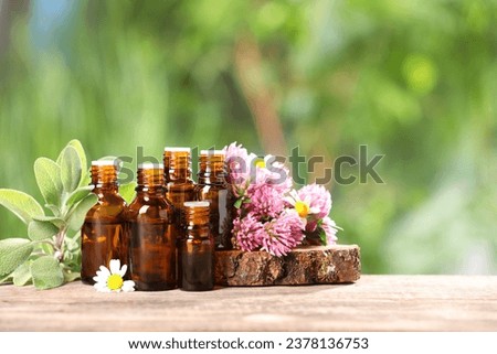 Bottles with essential oils, herb and flowers on wooden table against blurred green background. Space for text