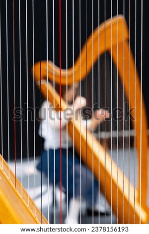 Little girl playing the harp on the concert, close-up
